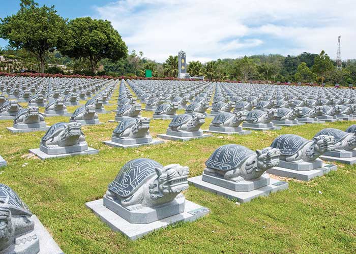 nirvana penang nv seed